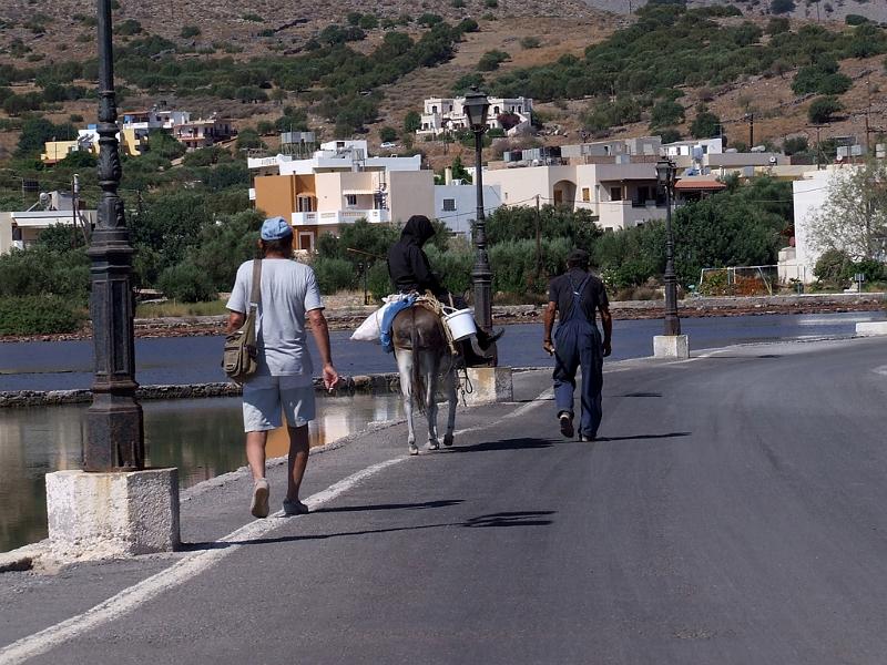 Sul viale del ritorno.jpg - Lucia Giovine